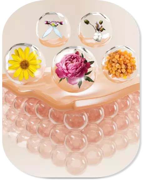Firm-Focus Face Serum ingredients helping hydration and skin tightening