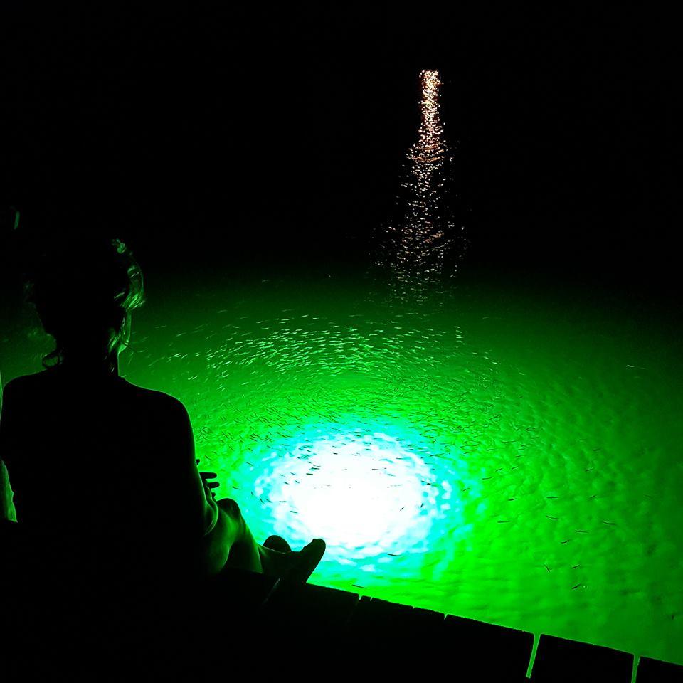 Most common questions on LED Underwater Dock Lights and Fishing Lights