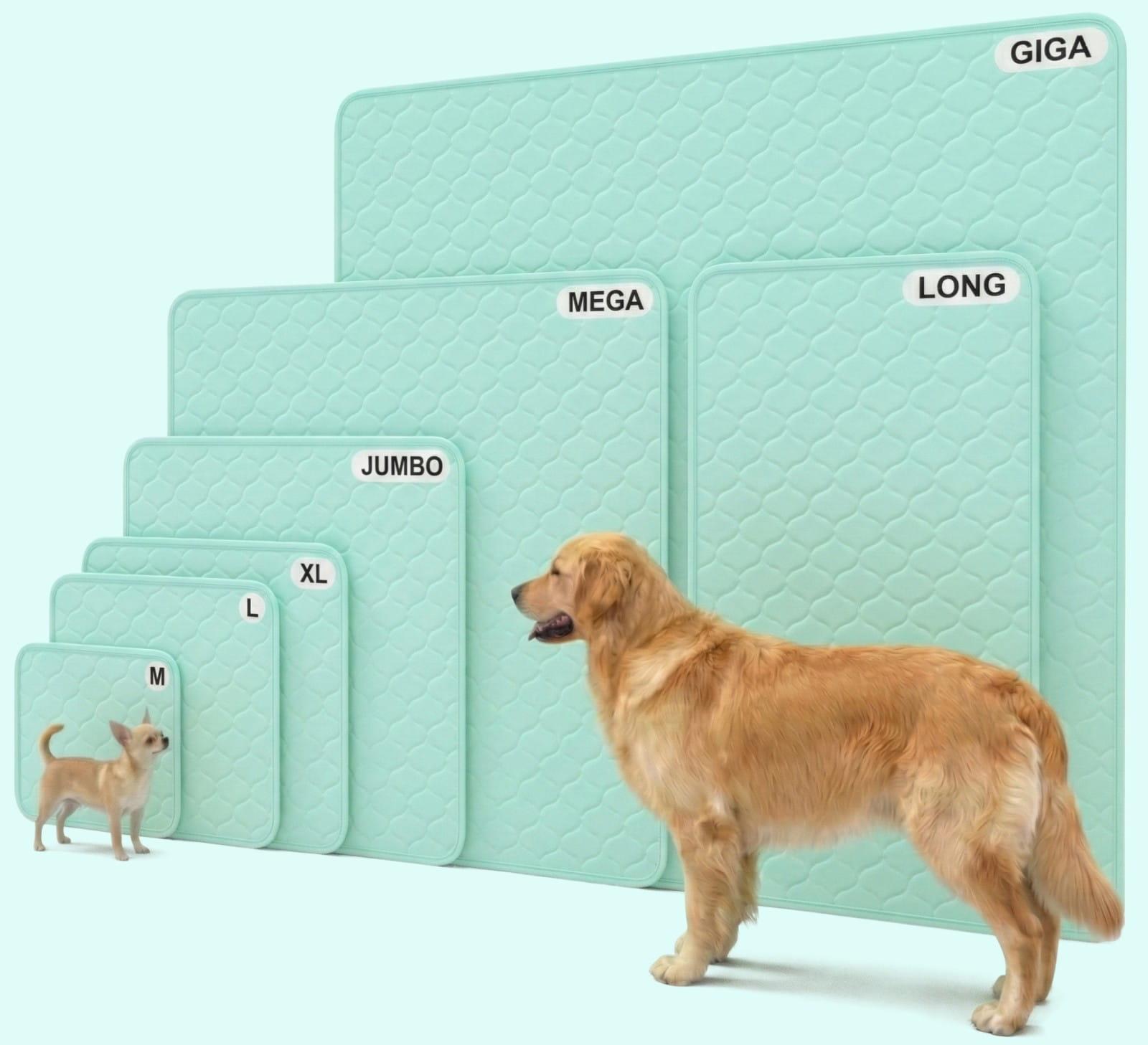 A diagram showing the various size options of the Potty Buddy reusable potty pad