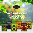 6 Sunflower Seed Collection