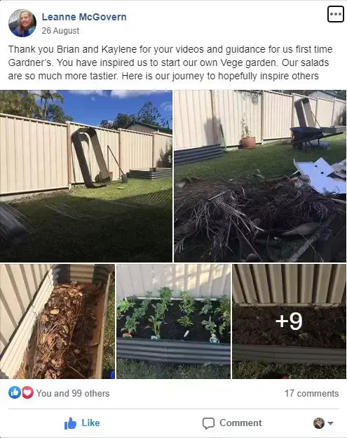Screenshot of a Facebook post showing before-and-after photos of a backyard veggie garden being built and planted.