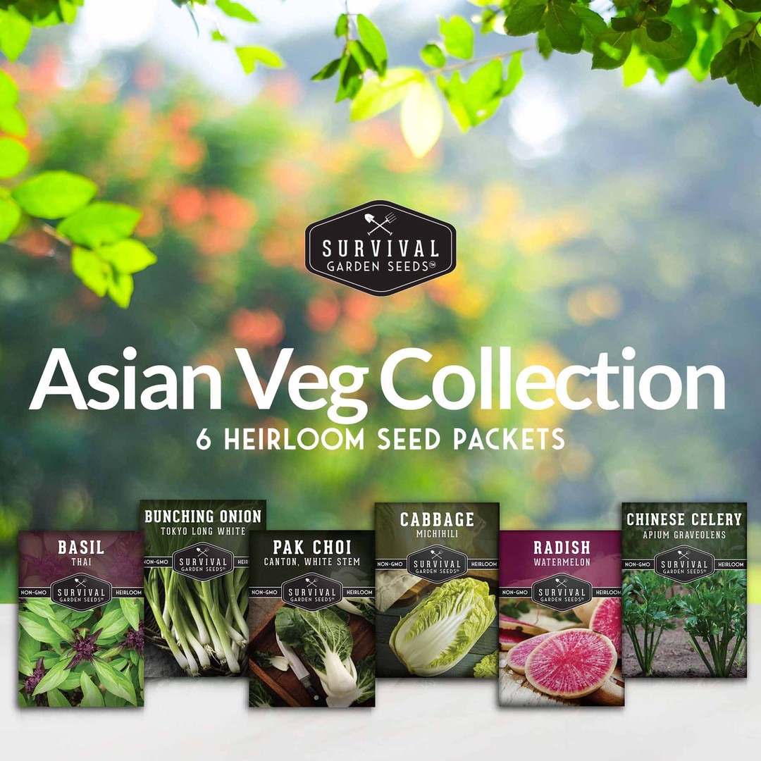 Asian Vegetable Seed Collection