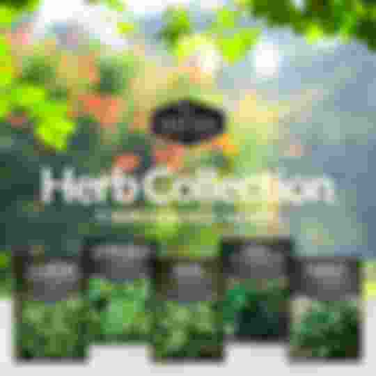 Herb Seed Collection - 5 popular herb varieties