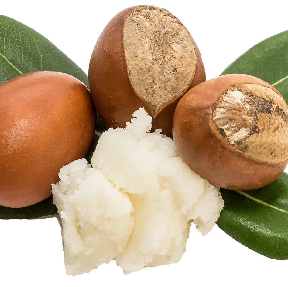 SHEA BUTTER