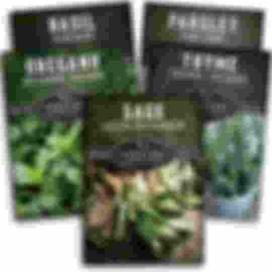 5 packets of Italian Herb seeds
