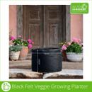 Black GeoFelt veggie growing planter bag on a stone step, shown with 550 mm width and 400 mm height measurements in front of a rustic doorway with potted flowers.