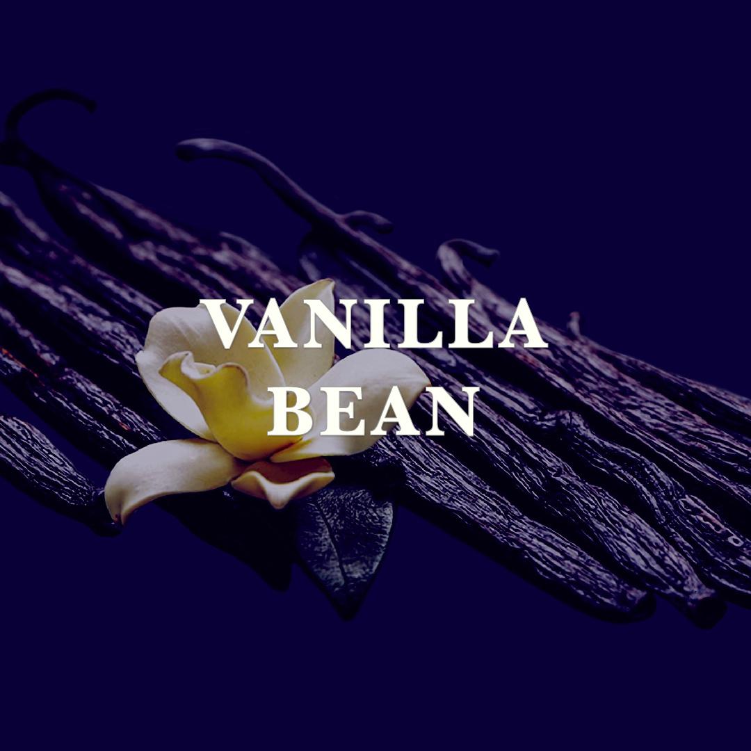 Vanilla Bean