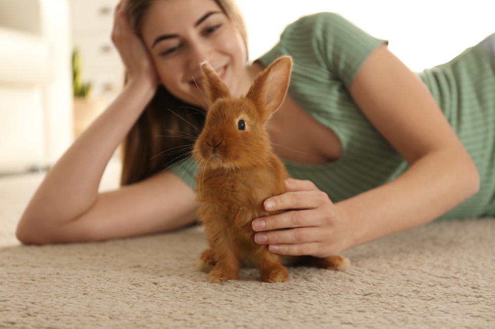 rabbit with woman