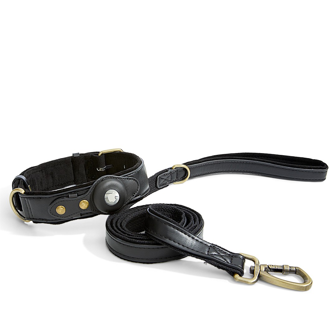 The Orchard Collar and Leash Set in Black