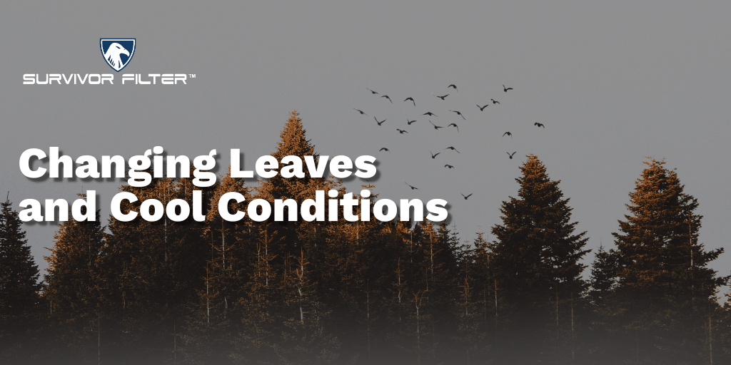 Photo credit: Denniz Futalan