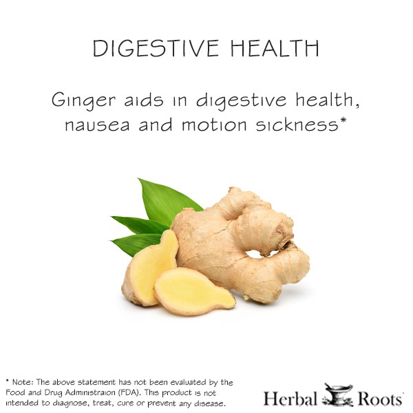 A fresh ginger root with two ginger root slices to the left of it and some green leaves behind it. The text on the image says Digestive Health. Ginger aids in digestive health, nausea and motion sickness.