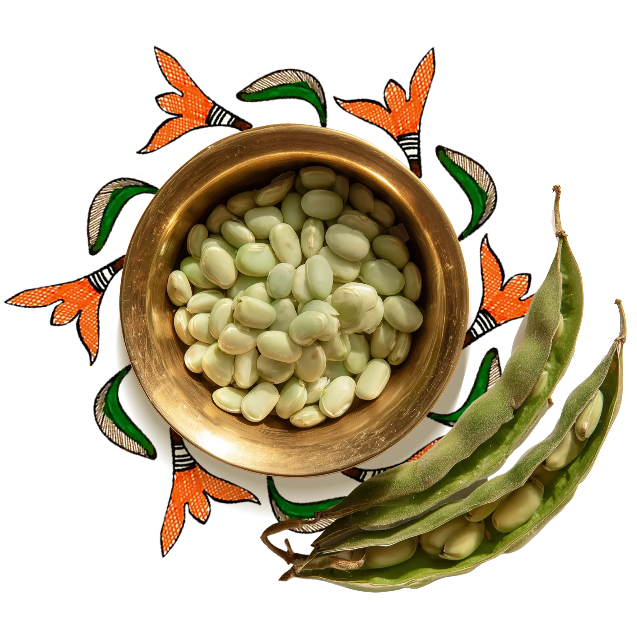 Few velvet beans surrounded by floral artworks