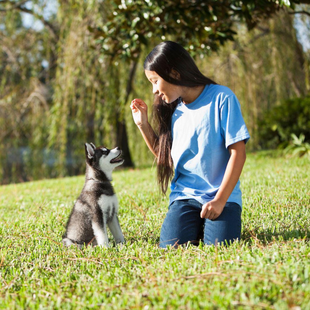 Girl training puppy