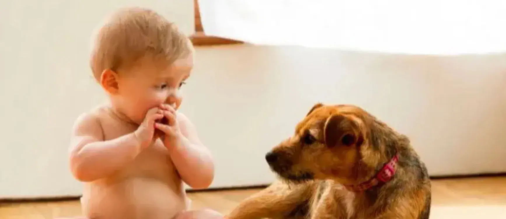 A baby sits on the floor, smiling, while a friendly dog lies beside them, both enjoying each other's company.
