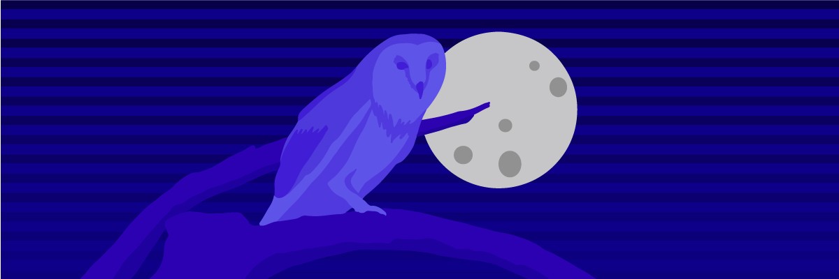 A nocturnal owl sitting on a tree branch with the moon shining behind it.